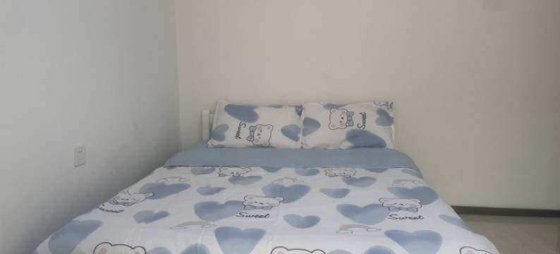 细普公寓(卫星路2号分店)图片