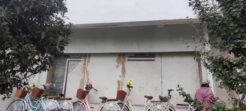 大理才村望野女性民宿(环海西路分店)图片