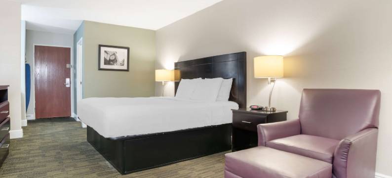 河湾贝斯特韦斯特酒店(Best Western Bayou Inn)图片