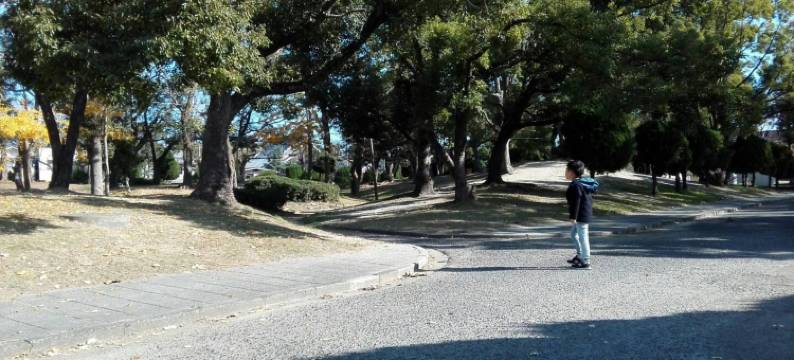 山本民博(Minpaku Yamamoto)图片