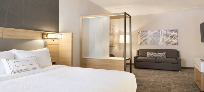 阿伦敦伯利恒森特瓦利SpringHill Suites酒店(SpringHill Suites Allentown Bethlehem/Center Valley)图片