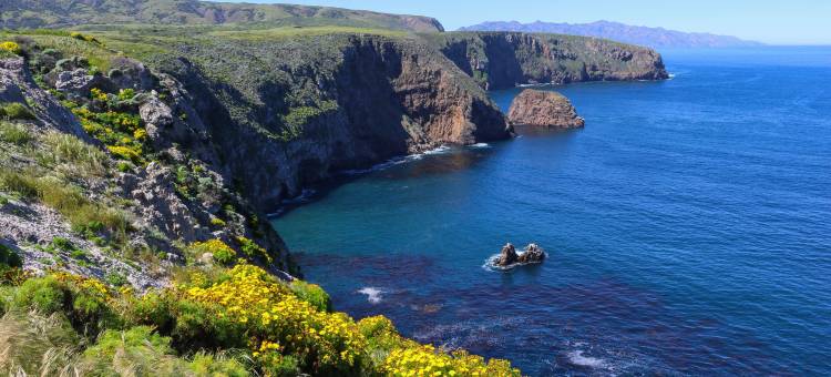 曼德勒海湾扎卡里沙丘-希尔顿格芮精选酒店(Zachari Dunes on Mandalay Beach, Curio Collection by Hilton)图片