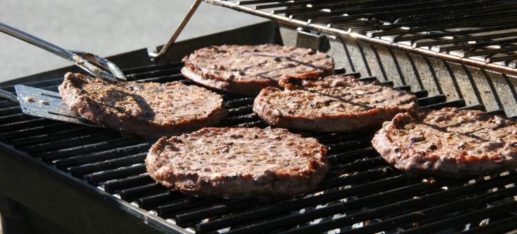 风车林登客栈(Windmill Inn Lynden)图片