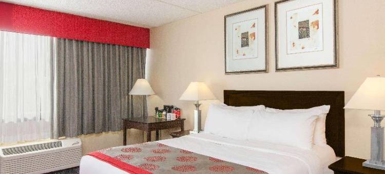 奥尔巴尼广场酒店(Albany Plaza Hotel)图片