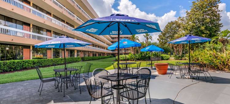 国际大道克拉丽奥酒店(Clarion Inn Orlando International Drive - Icon Park)图片