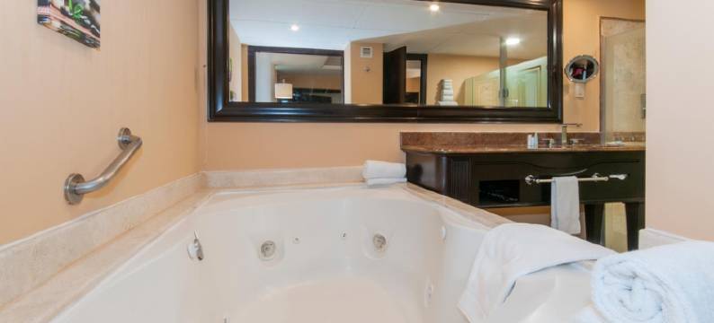 温德姆贝莱尔臻品酒店(BelAir Unique a Wyndham Hotel)图片