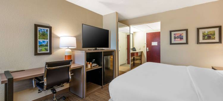 舒适套房酒店-东哈特福德(Comfort Inn & Suites East Hartford - Hartford)图片