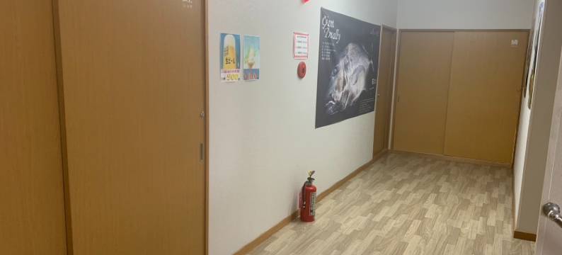 Mega Shakotan Base图片