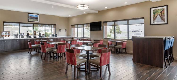 佩尔城靠近洛根马丁湖的康福特套房(Comfort Suites Pell City Near Logan Martin Lake)图片