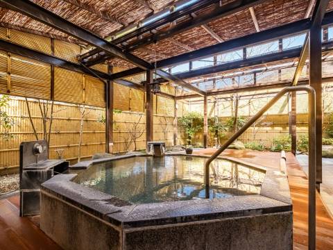 新威尔城汤河原酒店(New Welcity Yugawara)图片