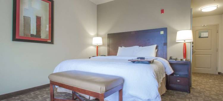 希尔顿欢朋酒店-格林维尔(Hampton Inn Greenville)图片