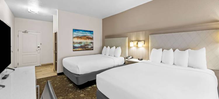 乐趣世界贝斯特韦斯特套房酒店(Best Western Worlds of Fun Inn  Suites)图片