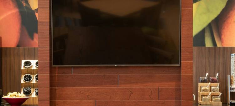 纽约皇后区/新鲜草原万豪万枫酒店(Fairfield Inn & Suites New York Queens/Fresh Meadows)图片