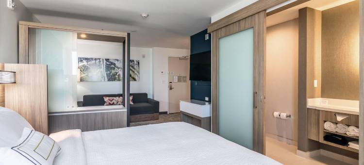 俄克拉何马城中心/ 布里克顿SpringHill Suites酒店(SpringHill Suites Oklahoma City Downtown/Bricktown)图片