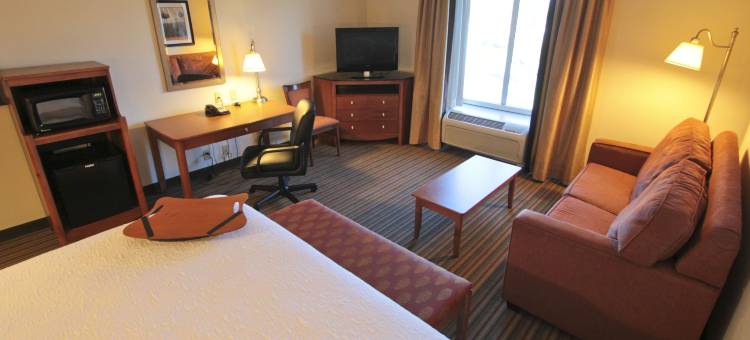 希尔顿欢朋酒店-纽波特纽斯(Hampton Inn Hampton-Newport News)图片