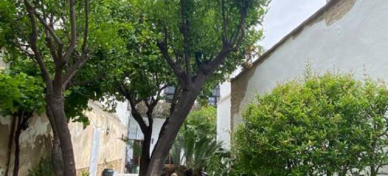 Casa Palacio Ánima图片