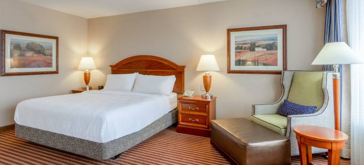 南里士满南方公园希尔顿花园酒店(Hilton Garden Inn Richmond South/Southpark)图片