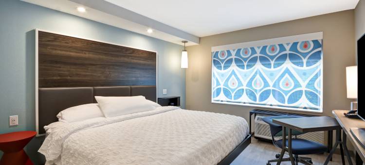 奇科皮斯普林菲尔德希尔顿Tru酒店(Tru by Hilton Chicopee Springfield)图片