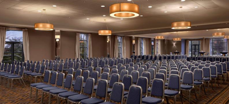 丽笙蓝标酒店及水疗-利默里克(Radisson Blu Hotel and Spa, Limerick)图片