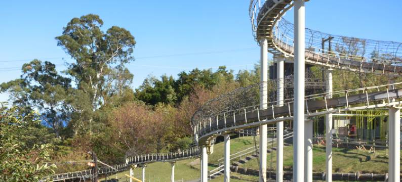 伊东园酒店(Itoen Hotel)图片