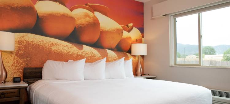 唐费尔南多德陶斯酒店，希尔顿启缤精选(Hotel Don Fernando de Taos, Tapestry Collection by Hilton)图片