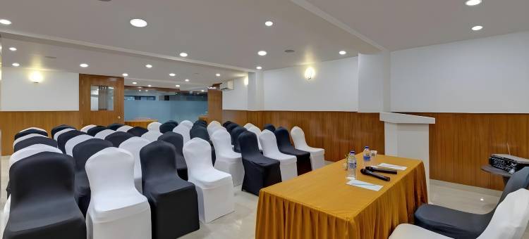 乌代布尔阿文斯贝肯酒店(Avins Beacon Hotel - Udaipur)图片