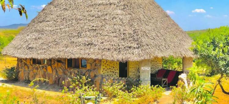 探索沙河旅馆(Explore Sand River Lodge)图片