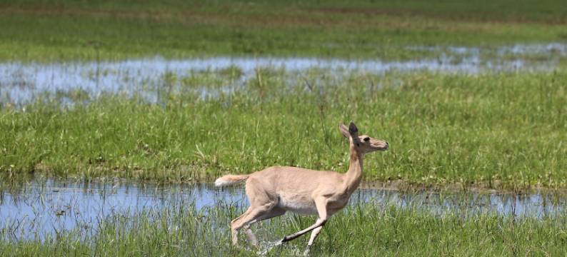 蒙特贝洛米利巴卡拉湾度假村(Montebelo Milibangalala Bay Resort)图片