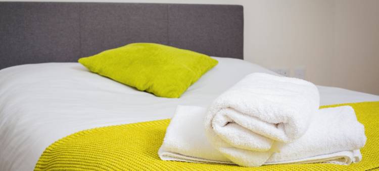 全景视图(Panoramic View)图片