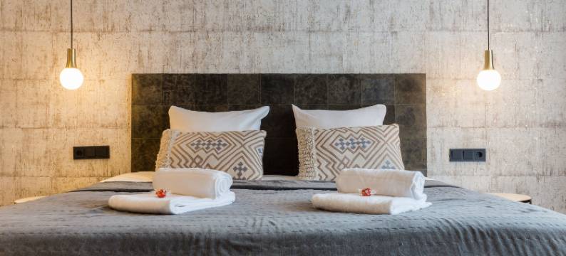 丽瑟精品套房 - 库肯霍夫(Boutique Suites Lisse - Keukenhof)图片