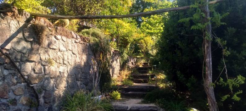 阿布斯花园(Les Jardins d'Arbousse)图片