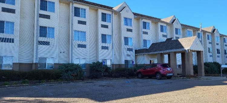 温德姆斯塔克维尔麦客达套房酒店(Starkville Inn & Suites)图片