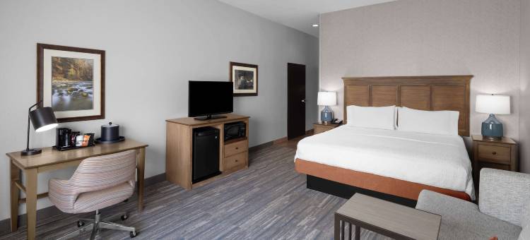 斯普林代尔-锡安国家公园欢朋酒店及套房(Hampton Inn & Suites Springdale/Zion National Park)图片