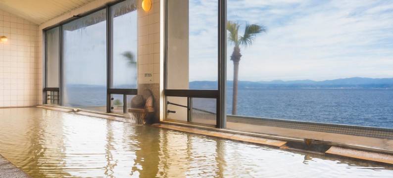 指宿海滨酒店(Ibusuki Seaside Hotel)图片