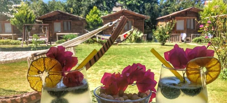 皮托斯小屋(Pitos Bungalows)图片