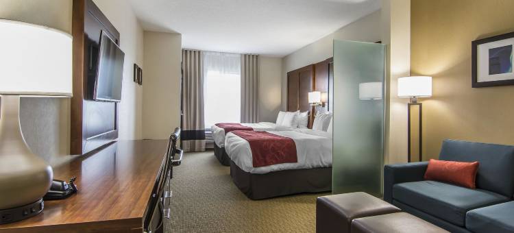 里贾纳舒适套房酒店(Comfort Suites Regina)图片