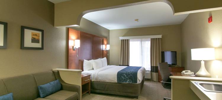 奥斯汀西北湖岸线舒适套房酒店(Comfort Suites Austin NW Lakeline)图片