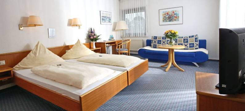 米歇尔施塔特城马克公园酒店(City Hotel Mark Michelstadt)图片