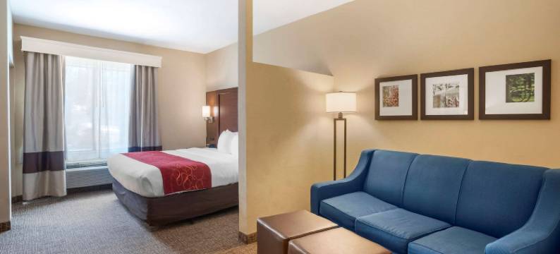 弗雷德里克斯堡北部舒适套房酒店(Comfort Suites Fredericksburg North)图片