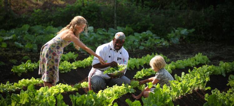 艾勒瓦纳托提利斯露营酒店(Elewana Tortilis Camp Amboseli)图片