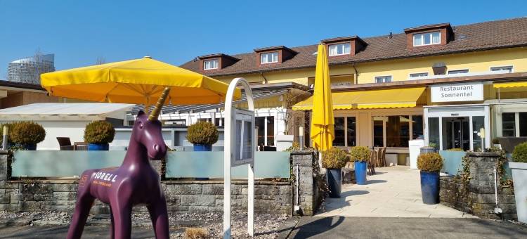 索雷尔索内塔尔酒店(Hotel Sonnental)图片