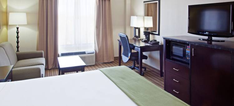 阿林顿20号州际公路公园广场智选假日酒店(Holiday Inn Express & Suites Arlington (I-20-Parks Mall))图片