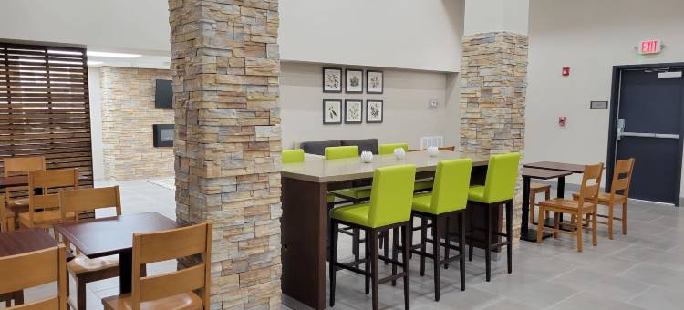 梅肯西丽怡套房酒店(Country Inn & Suites by Radisson, Macon West, GA)图片