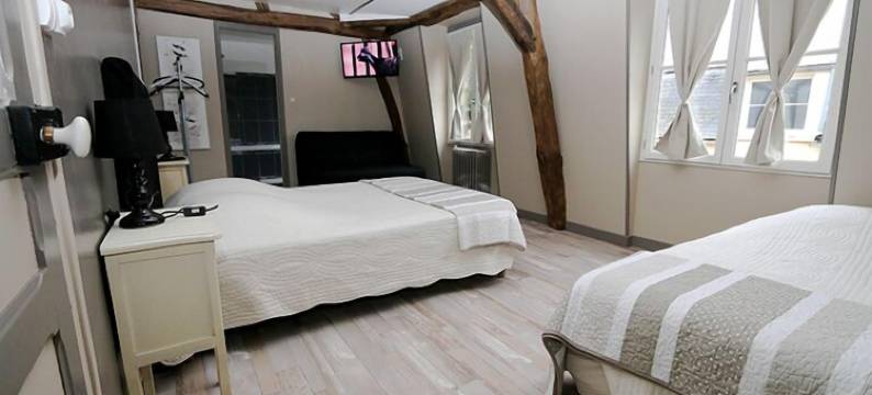 维艾耶法式酒店(Vieille France)图片