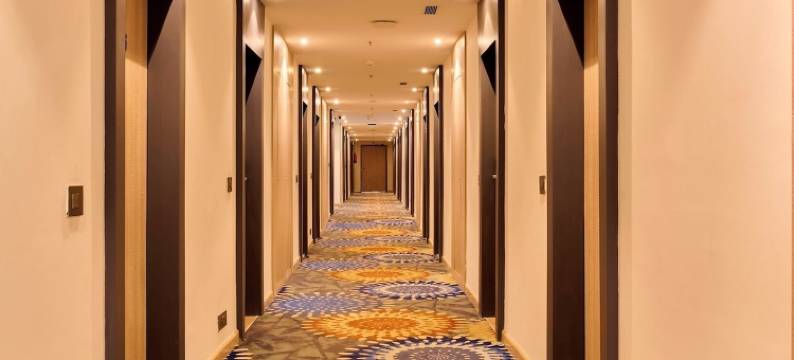 得利特萨罗瓦尔波蒂科法里达巴德(Delite Sarovar Portico Faridabad)图片