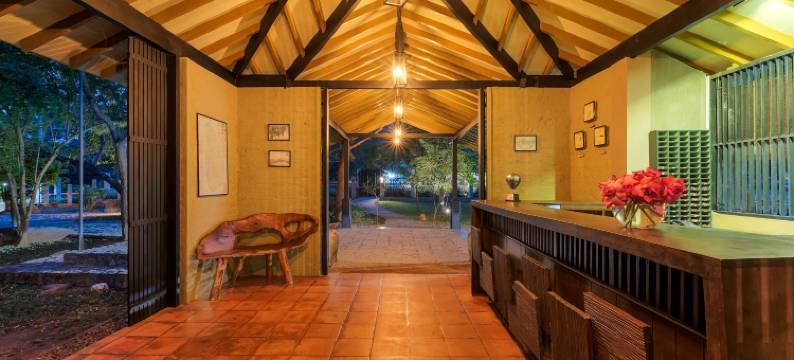 亚拉大象海滩酒店(Elephant Reach)图片