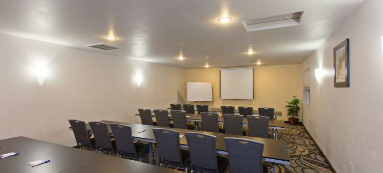 Holiday Inn Express 蒂梅丘拉(Holiday Inn Express Temecula)图片