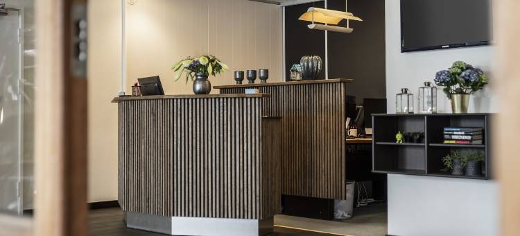 美帝酒店(Hotel Medi)图片