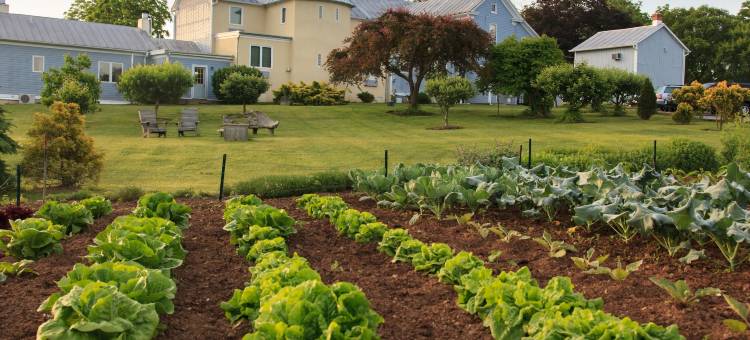 L'Auberge Provencale酒店和餐厅(L'Auberge Provencale Inn & Restaurant)图片