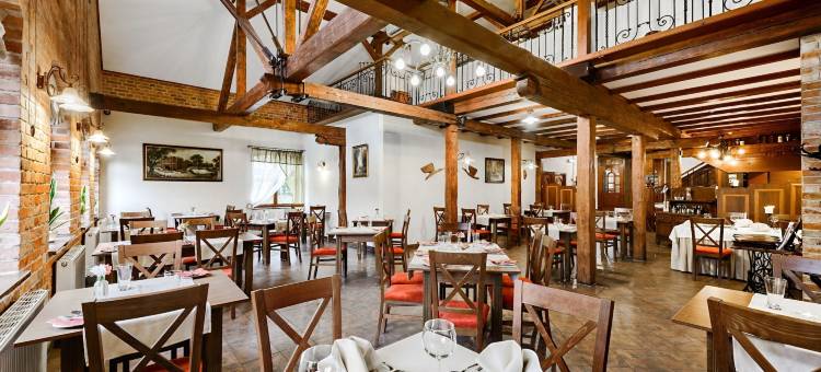 姆林酒店(Hotel Młyn Aqua Spa Biblioteka)图片